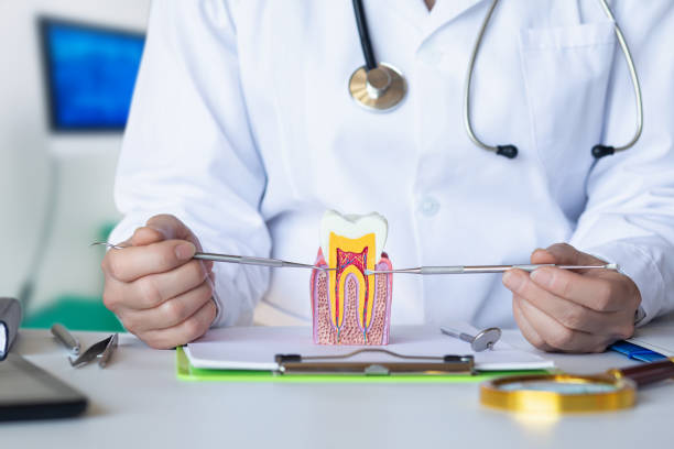 Best Walk-In Emergency Dentist in Missouri City, TX